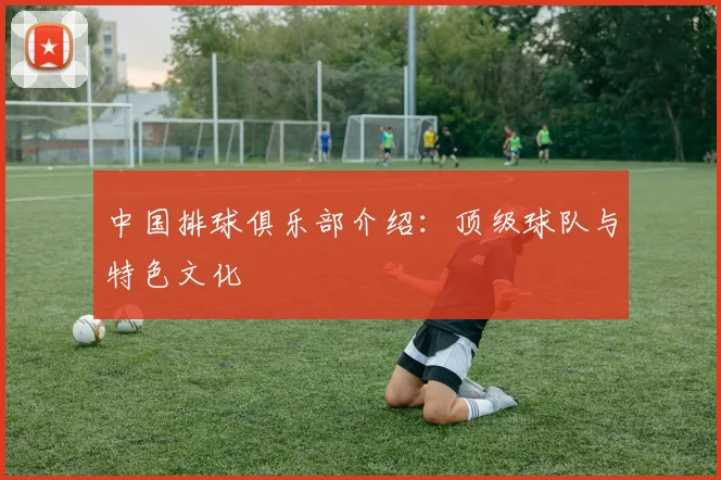 中国排球俱乐部介绍:顶级球队与特色文化